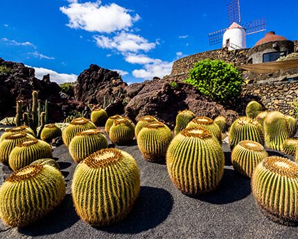 Jardín de Cactus - CACT Lanzarote