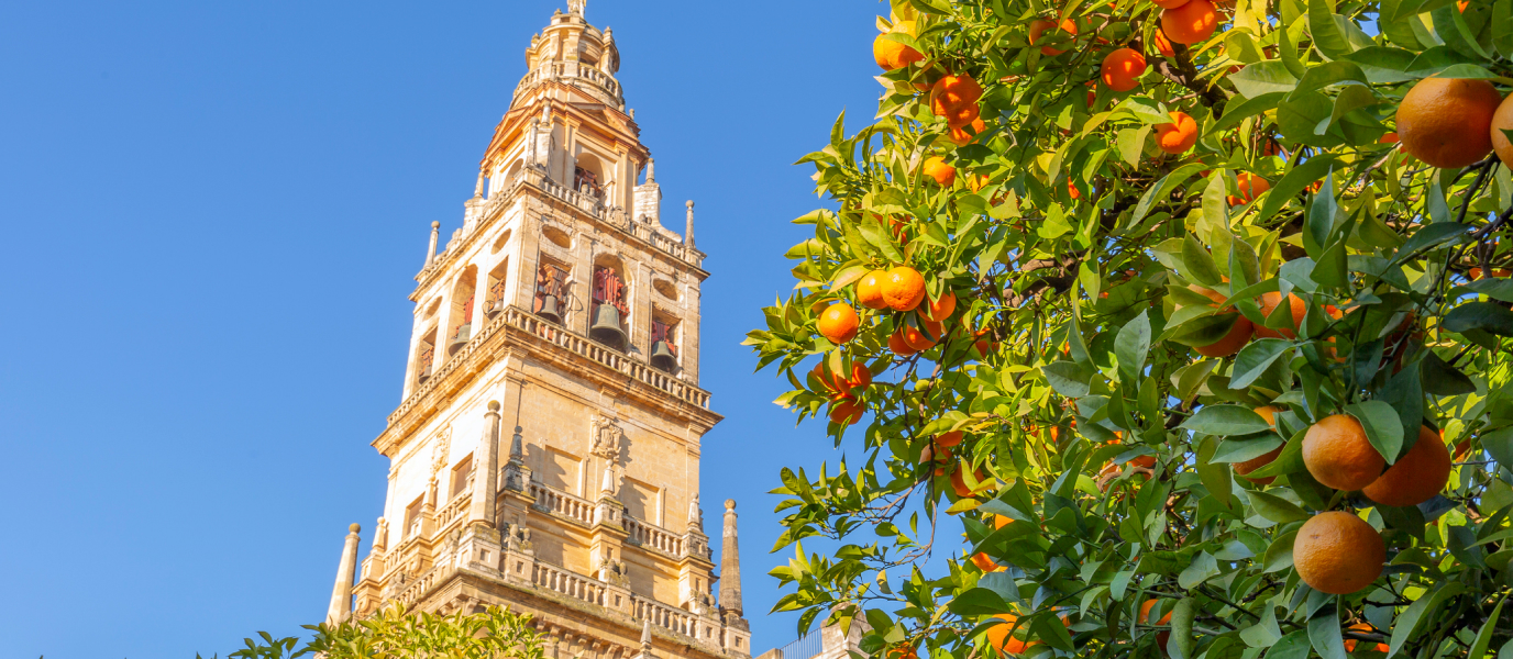 The Giralda, symbol of Seville