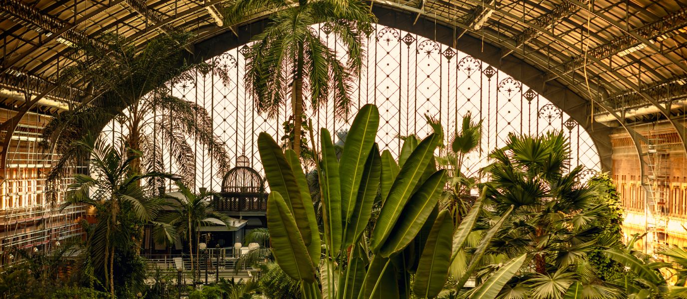 Atocha station: the iron heart of Madrid