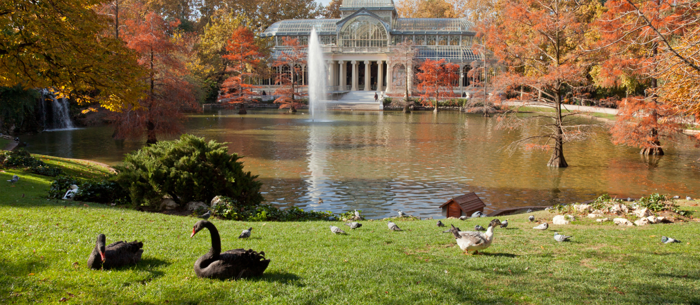 10 Actividades para disfrutar del Parque del Retiro