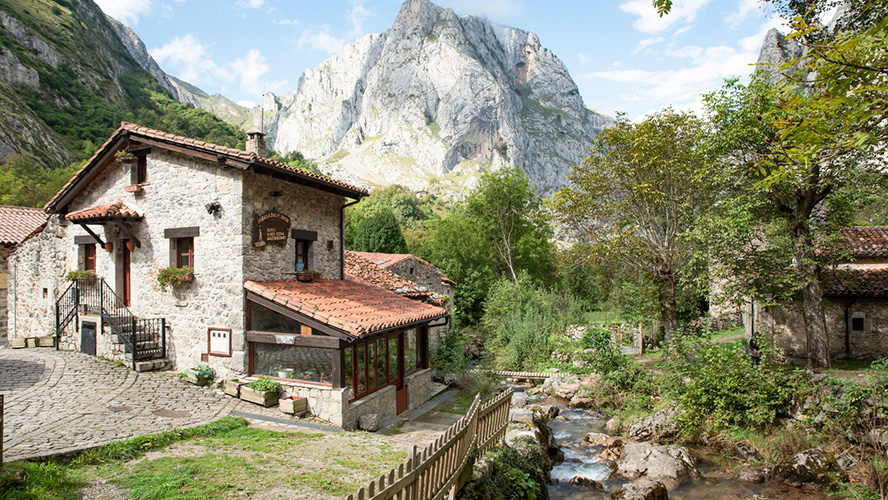 Bulnes