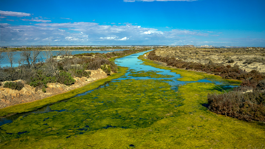 Salinas de San Pedro del Pinatar