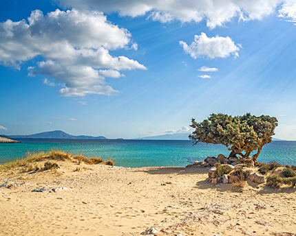 Playas de Bahréin: arenas doradas, islas desiertas y buceo entre perlas y naufragios