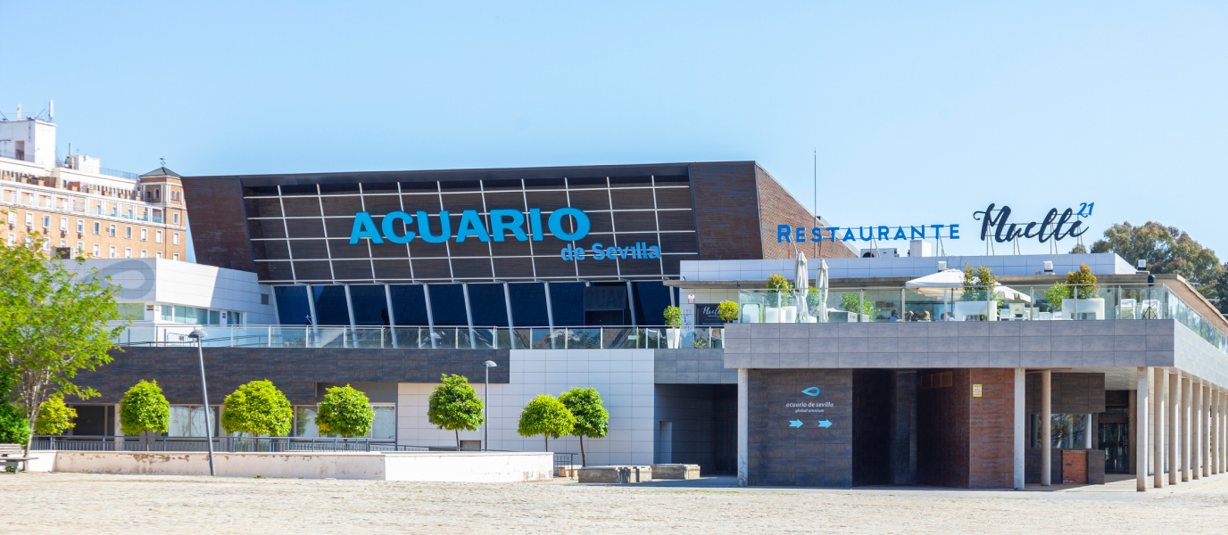 The Seville Aquarium and its oceanic treasures