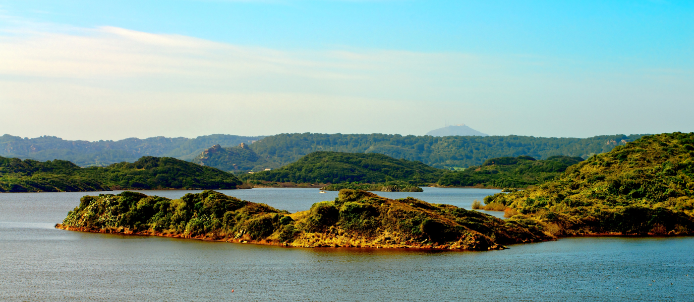 S’Albufera des grau, a natural wonder to take you deep into minorca