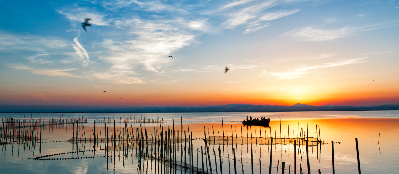 La Albufera de Valencia, un tesoro de la naturaleza a tan sólo 10 km de la ciudad