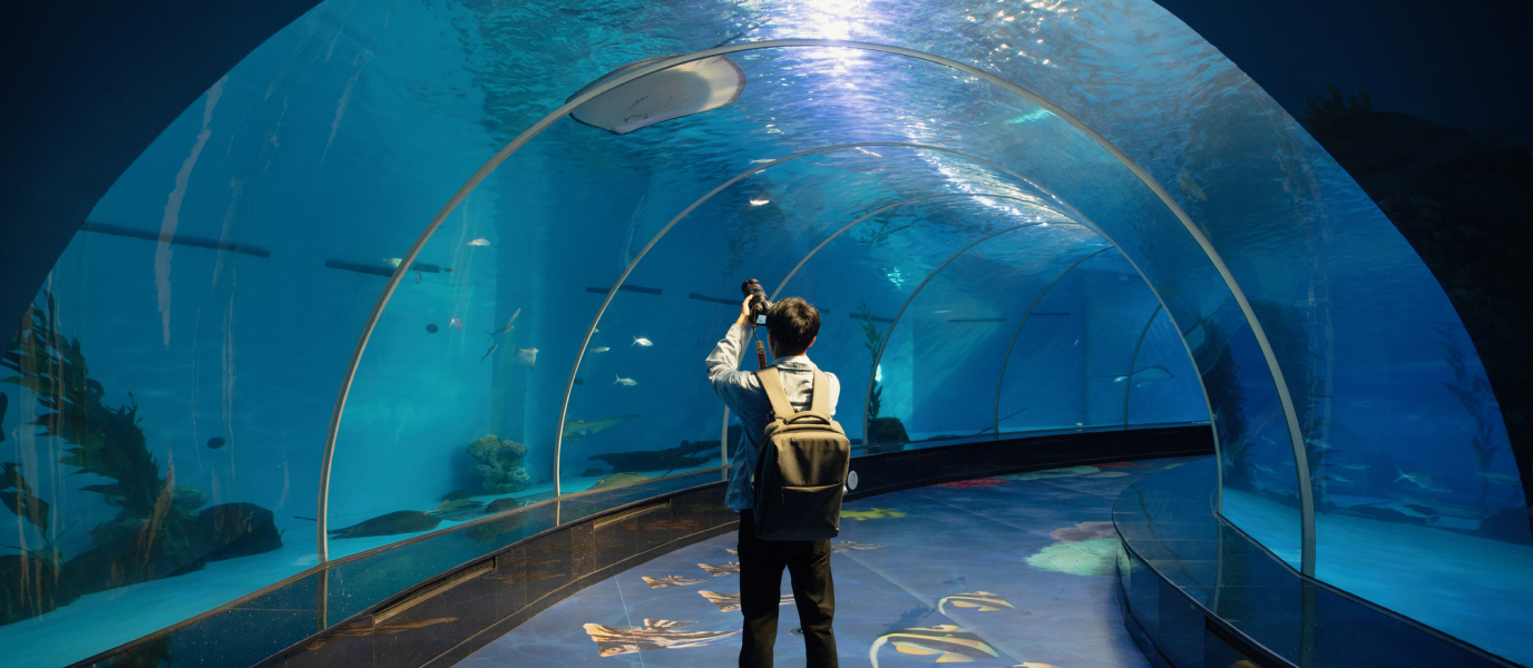 Aquarium de San Sebastián, un océano en el corazón de Donostia