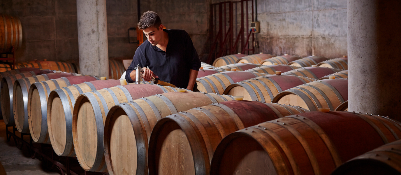 Bodegas de Mallorca, la personalidad insular