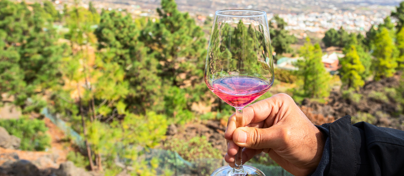 Las bodegas de Tenerife y sus increíbles vinos volcánicos