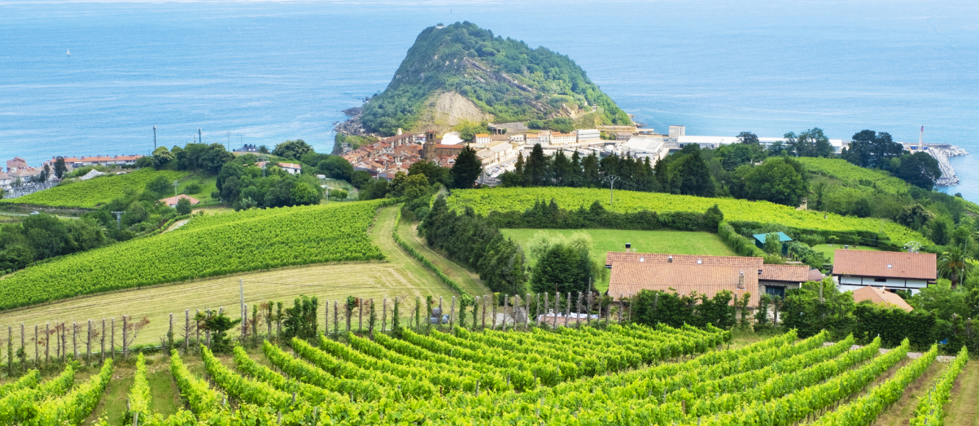 History of txakoli and the best txakoli wineries in the Basque Country