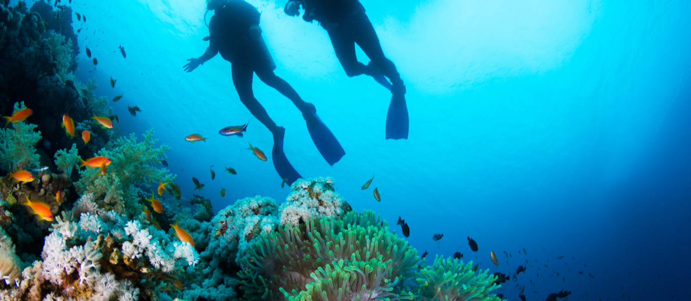 Buceo en Ibiza, descubre las maravillas sumergidas