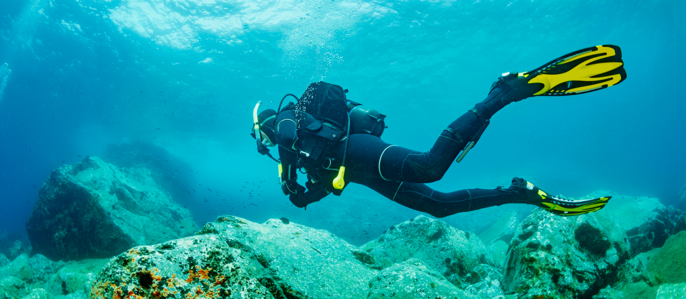 Todas las razones para hacer buceo en La Herradura