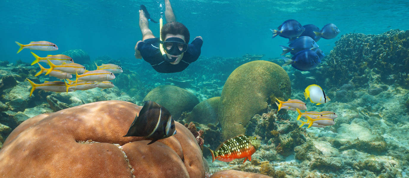 Snorkeling in the Riviera Maya: an underwater paradise