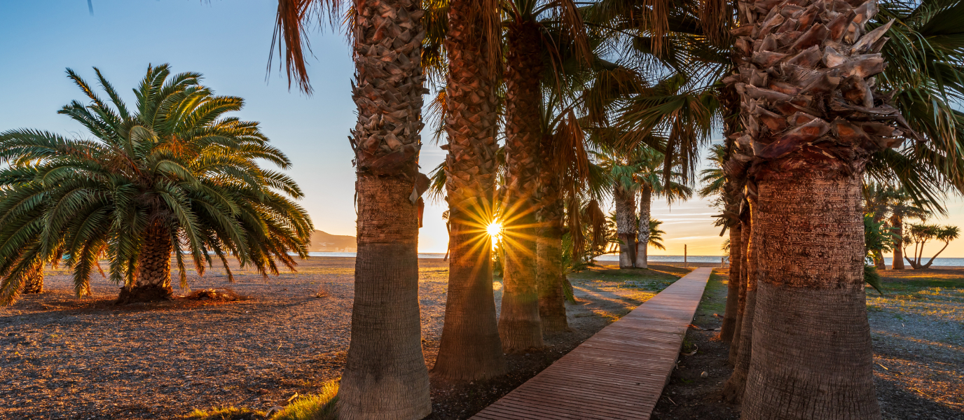 Descubre la Costa Tropical: un paraiso en Granada