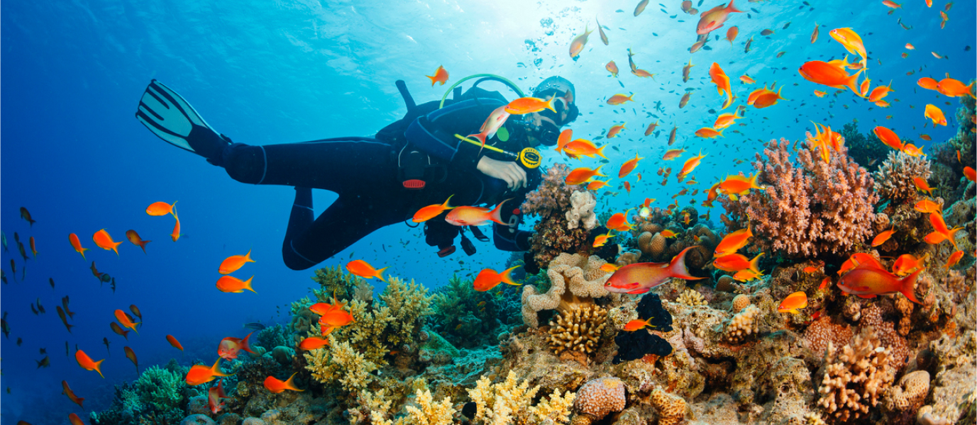 Best places to snorkeling in Dominican Republic: the amazing underwater experience