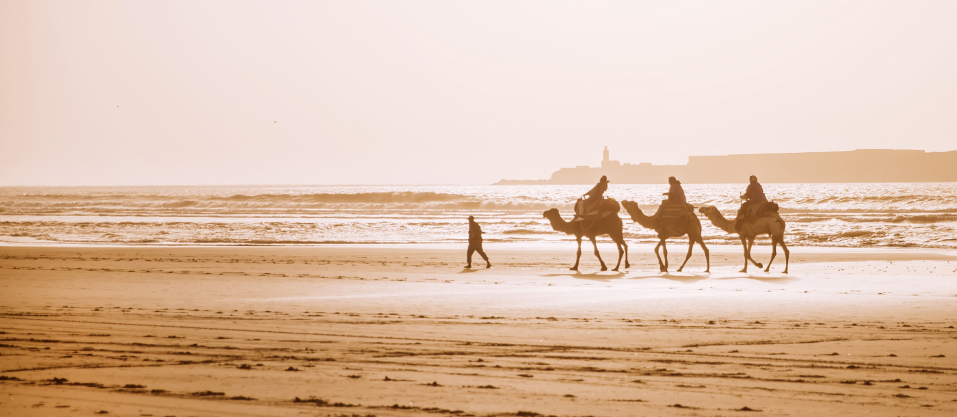 Excursions au départ d’Agadir, 6 visites incontournables