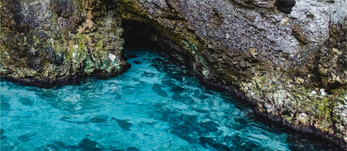 Hoyo Azul: Punta Cana’s magical cenote