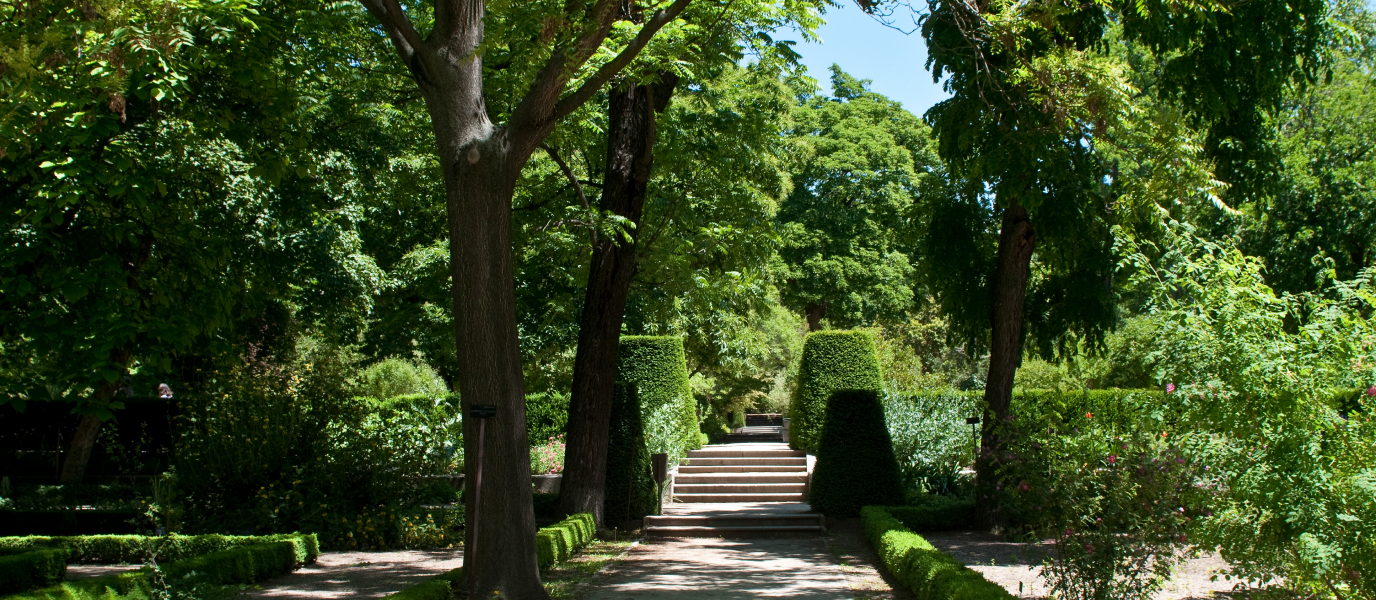 El Jardín Botánico de Madrid, la Babel de las plantas