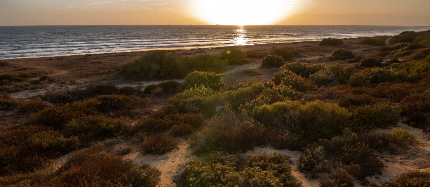 Las mejores playas de Huelva, de Ayamonte a Doñana