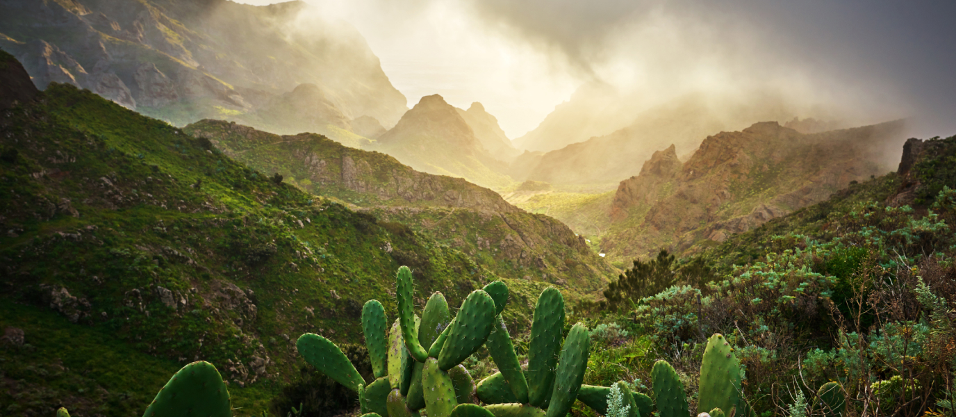 Los paisajes más bonitos de Tenerife