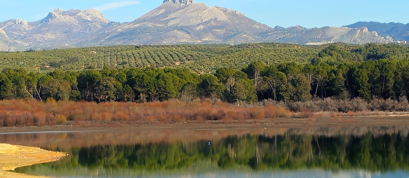 Descubre todo lo que te ofrece el Pantano de Cubillas