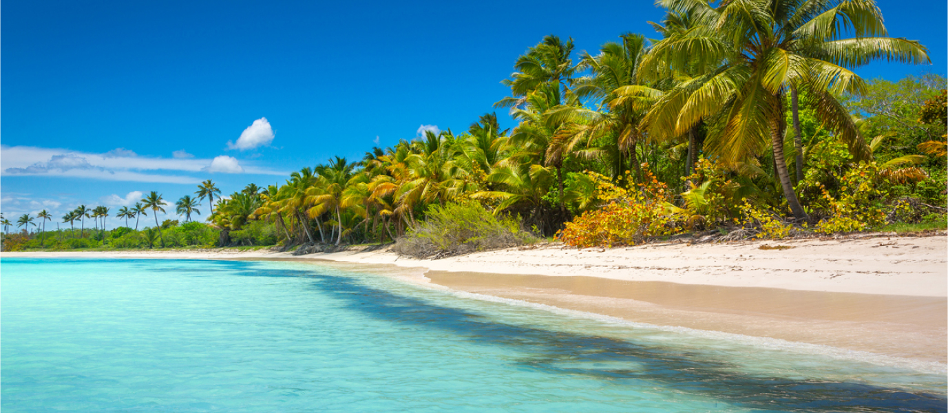 Dominican Republic beaches: Over 50 kilometers of fine white sand await you in Punta Cana