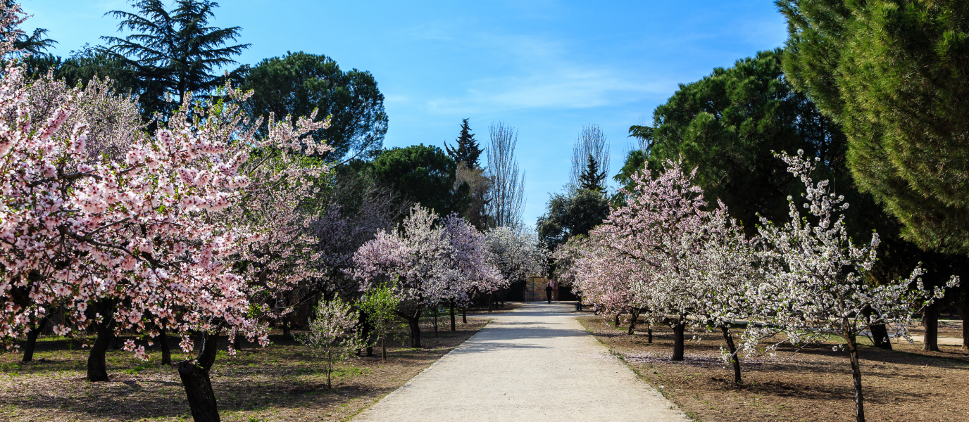 Quinta de los Molinos, una finca en Madrid para todos