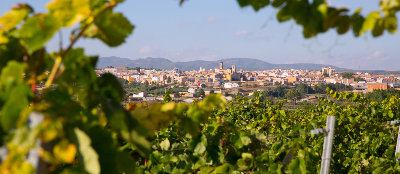 Requena, la cuna del vino de Valencia