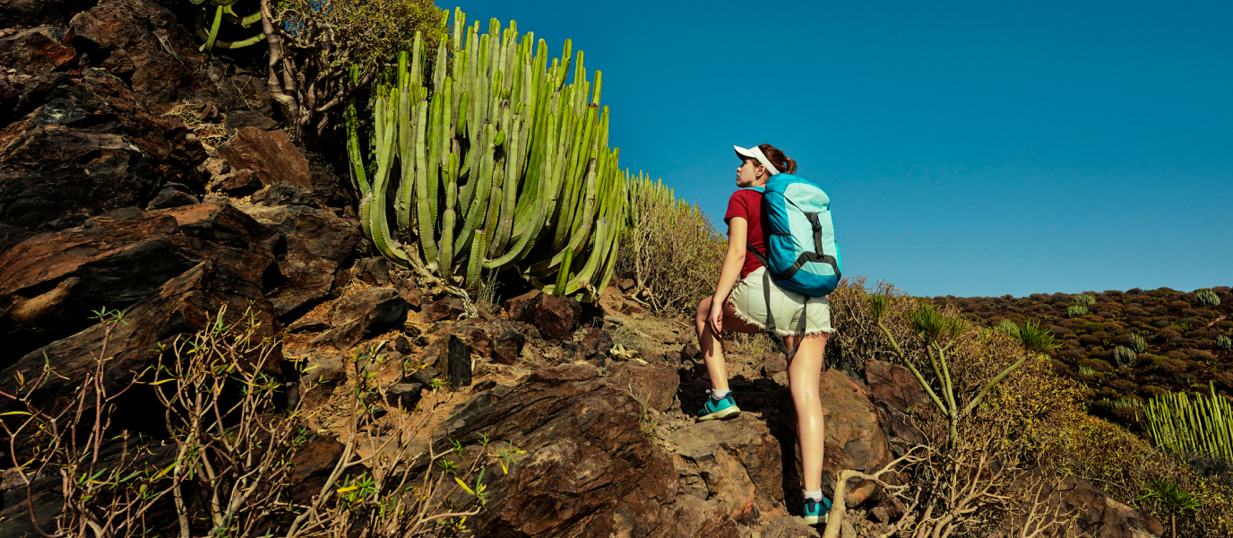 Senderos en Tenerife: a pie por las maravillas naturales de la isla