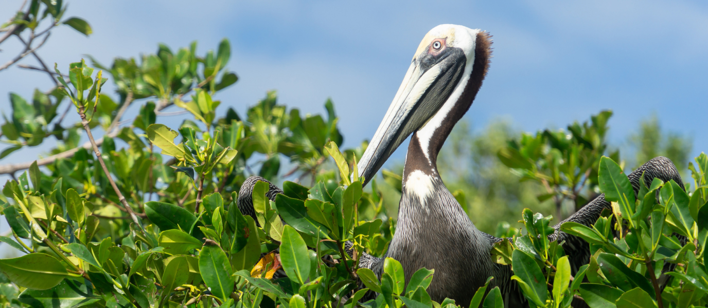 Reserva de la Biosfera de Sian Ka’an, donde nace el cielo