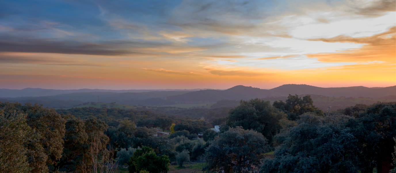 Sierra de Aracena. Venture into this natural habitat near Seville