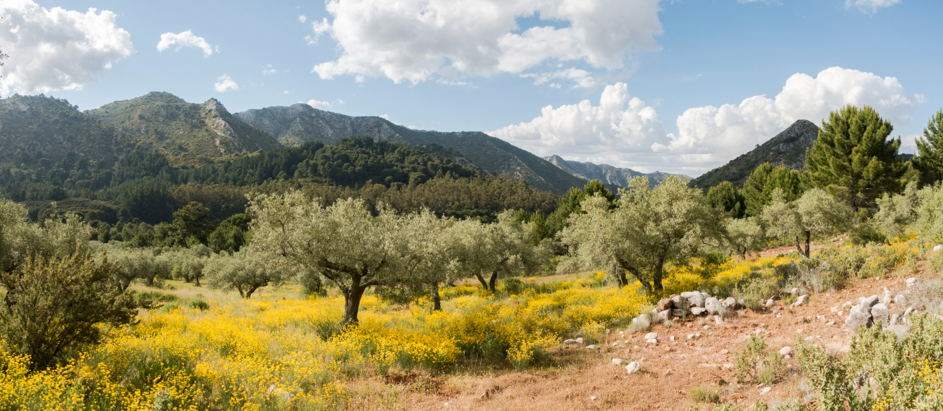 Sierra de las Nieves, un paraíso de la naturaleza malagueña