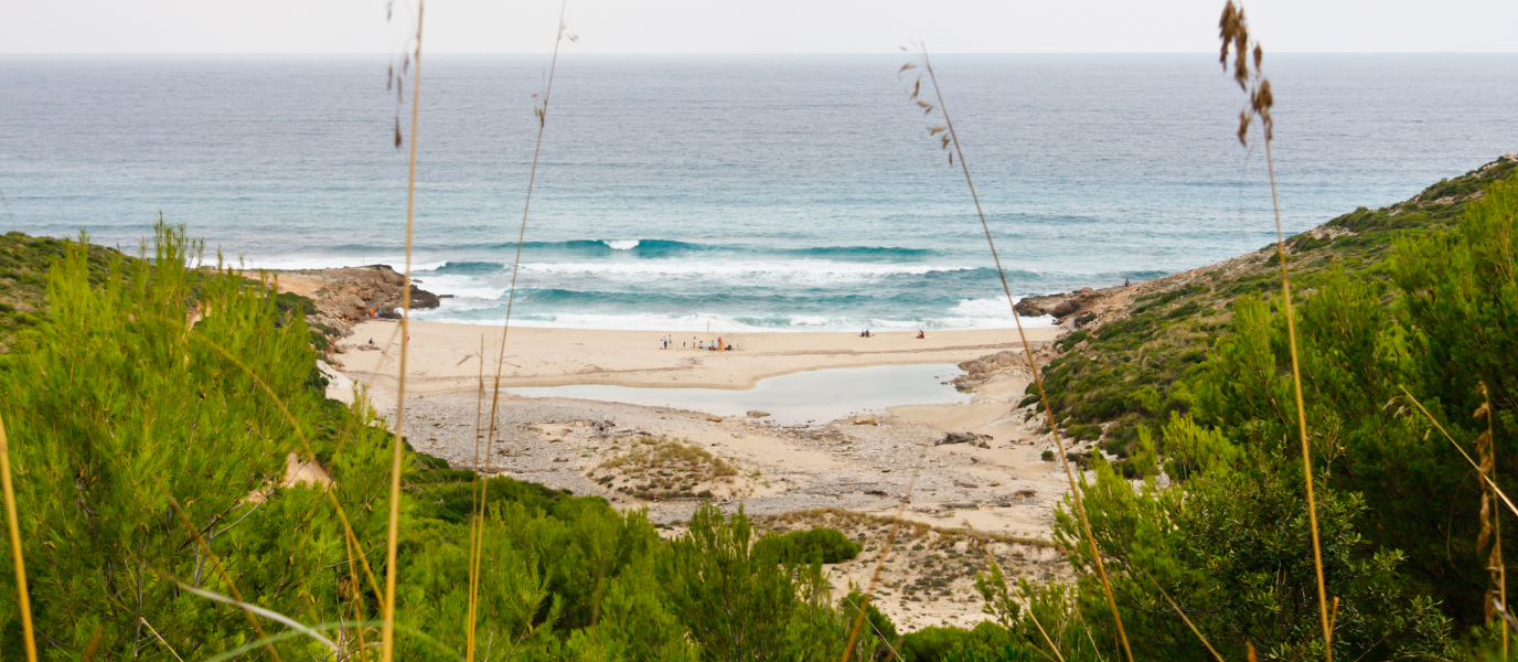 Surf en Mallorca: los mejores lugares para coger olas