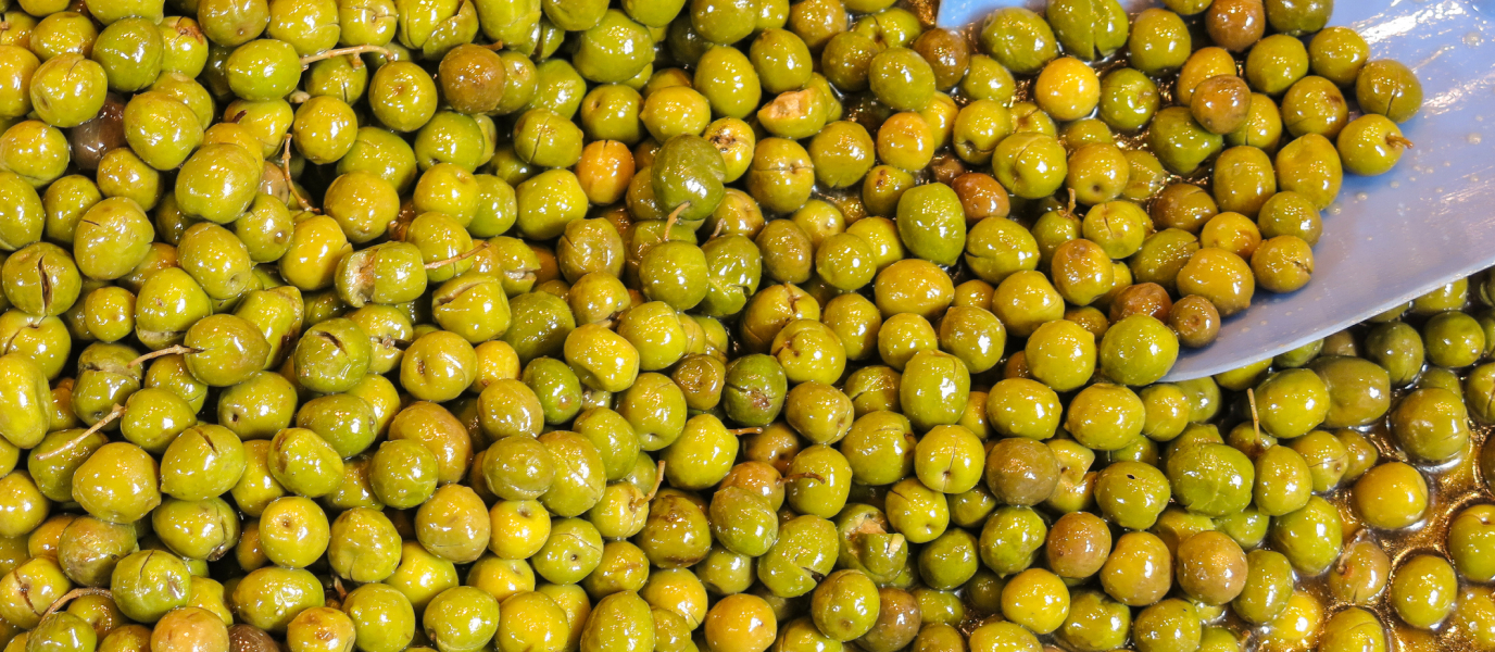 Majorcan oil, traditional tafonas surrounded by olive trees