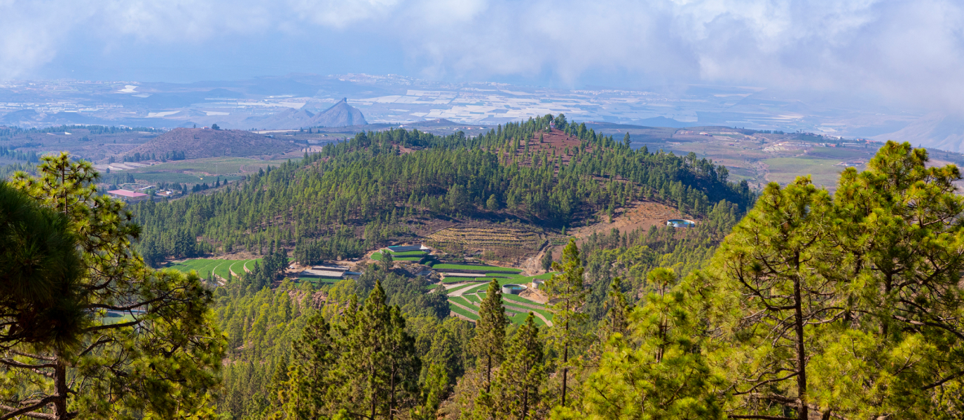 What to see in Vilaflor de Chasna: the Spanish captain’s lost love