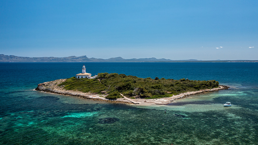 Calas cerca de Alcudia