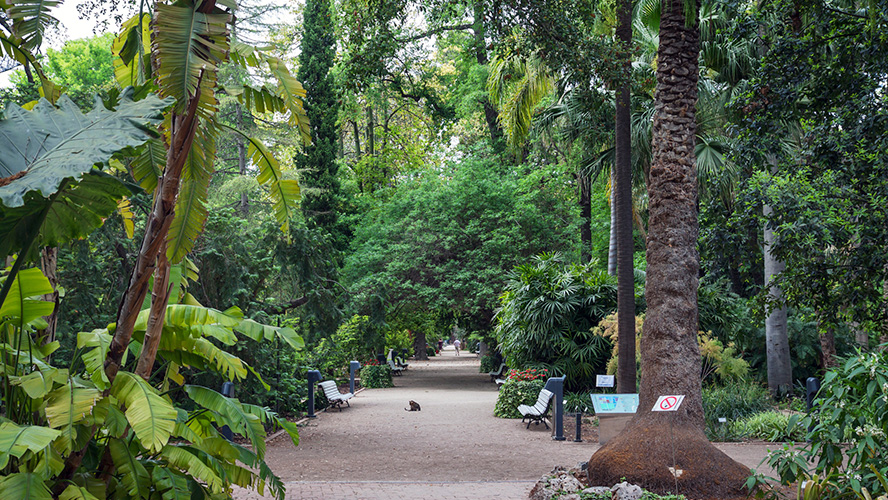 Jardín Botánico de Valencia