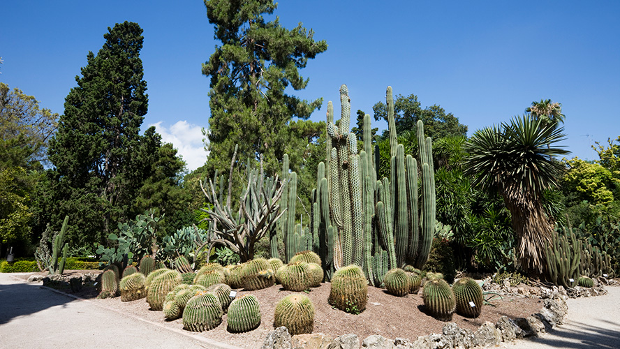 Jardín Botánico de Valencia