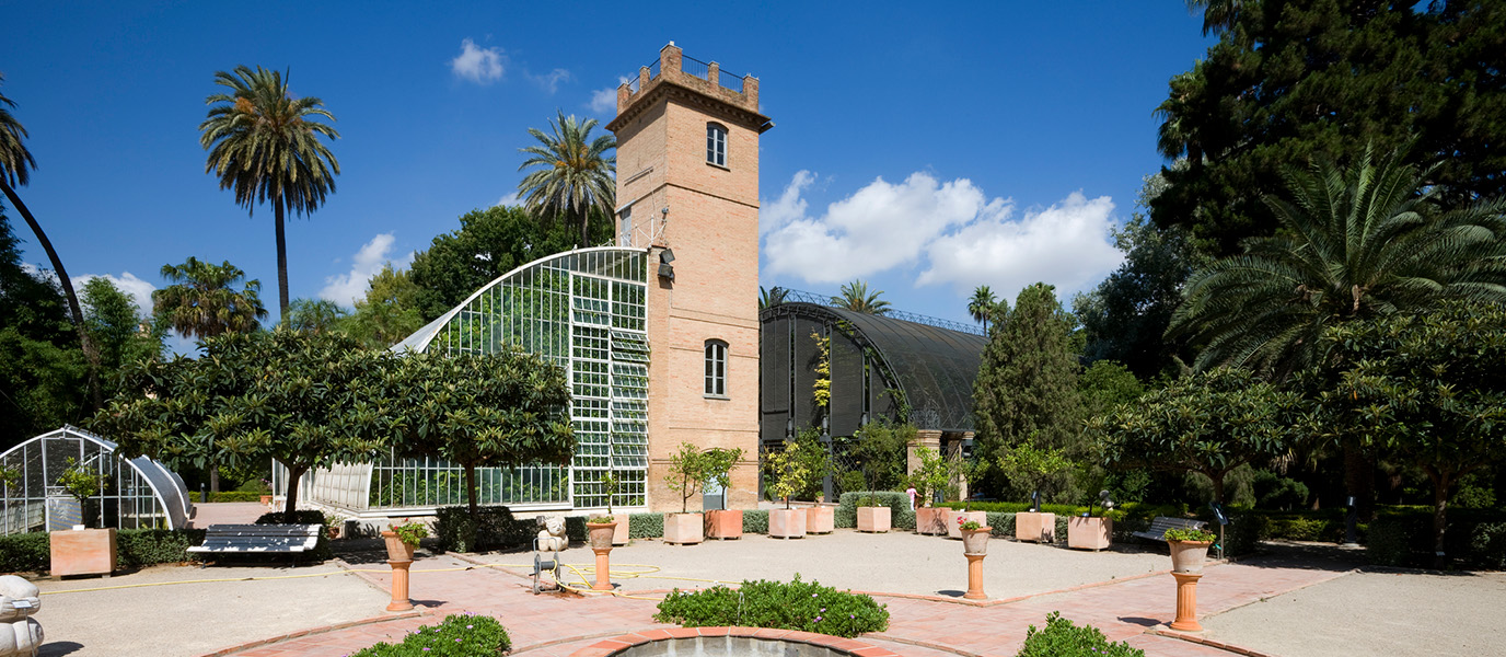 Jardín Botánico de Valencia, el museo vivo que nació de un huerto