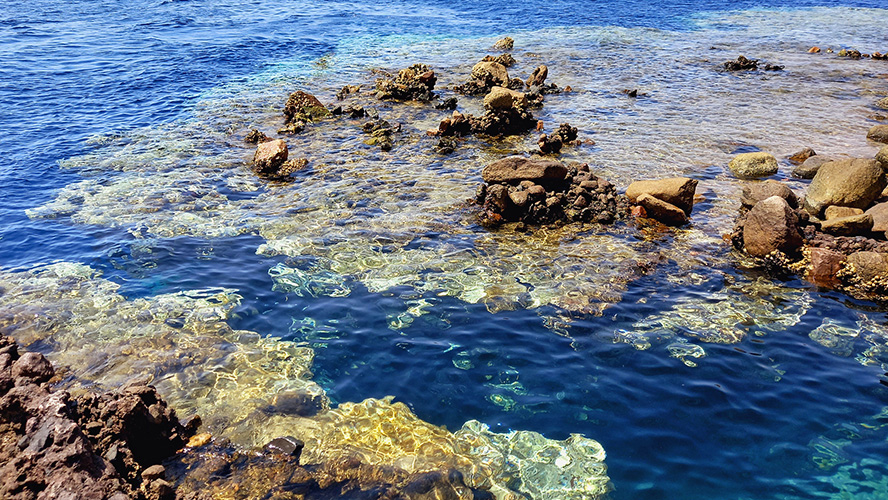 Buceo en el Mar Rojo