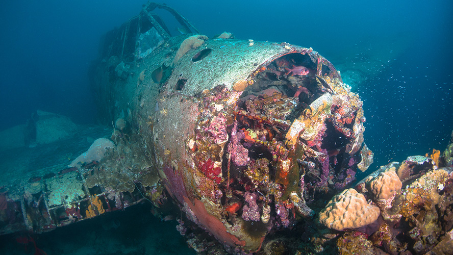 Buceo en el Mar Rojo