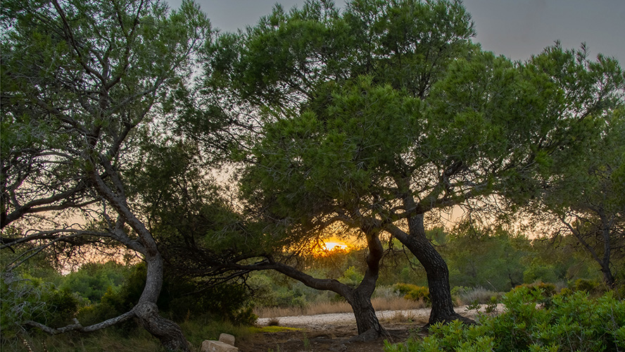 Parque Natural de la Sierra de Irta