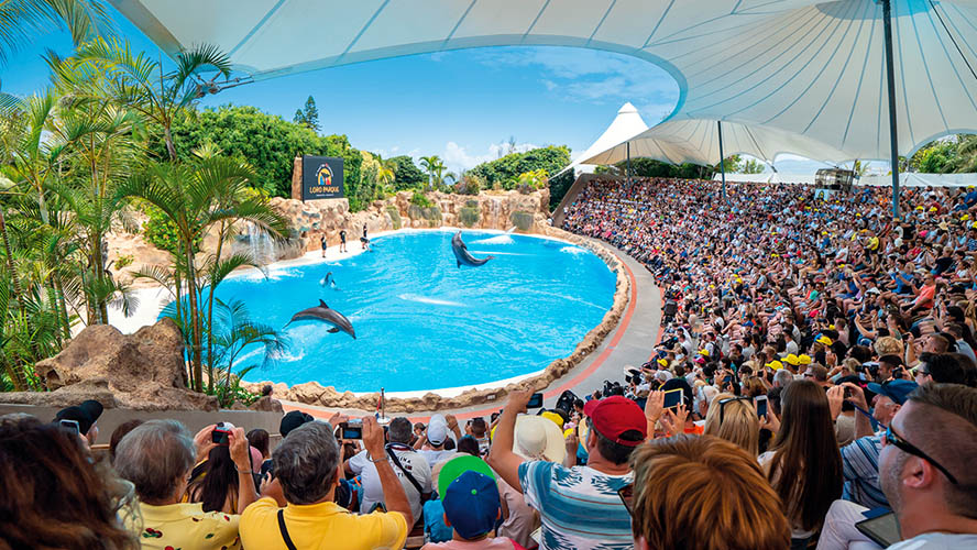 Actividades Tenerife loro parque