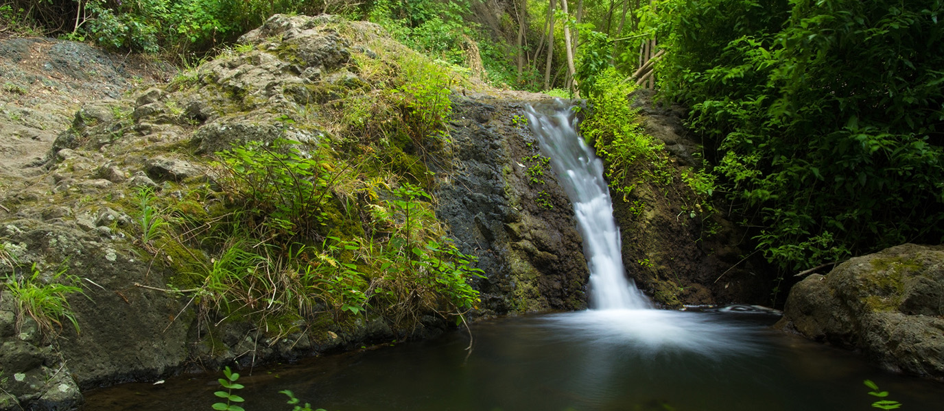 Barranco de Azuaje, un paraíso natural con aguas milagrosas