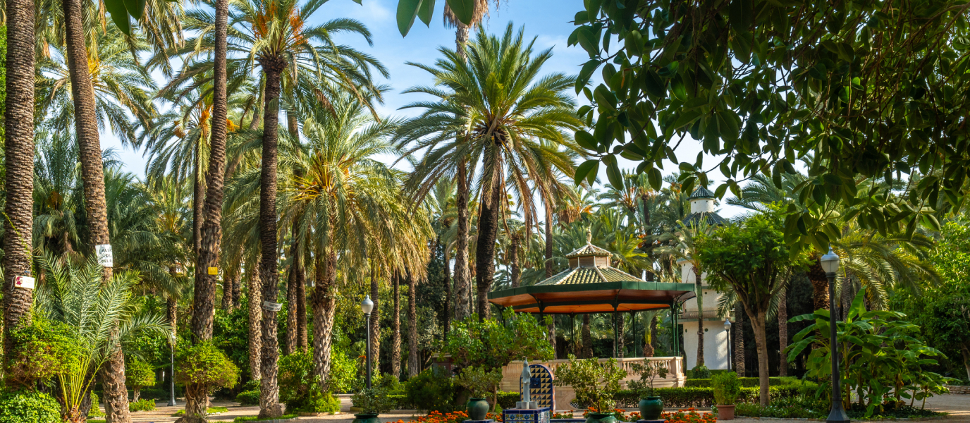 What to see in Elche, a city of contrasts