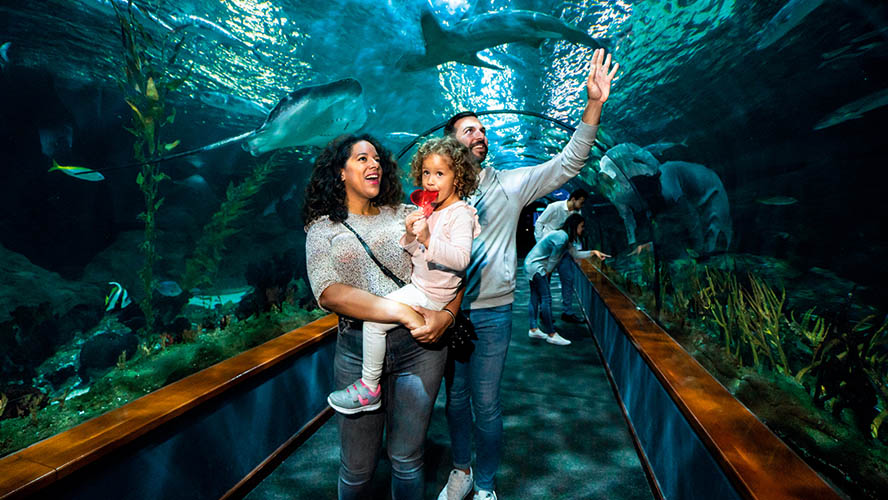 Loro Parque aquarium