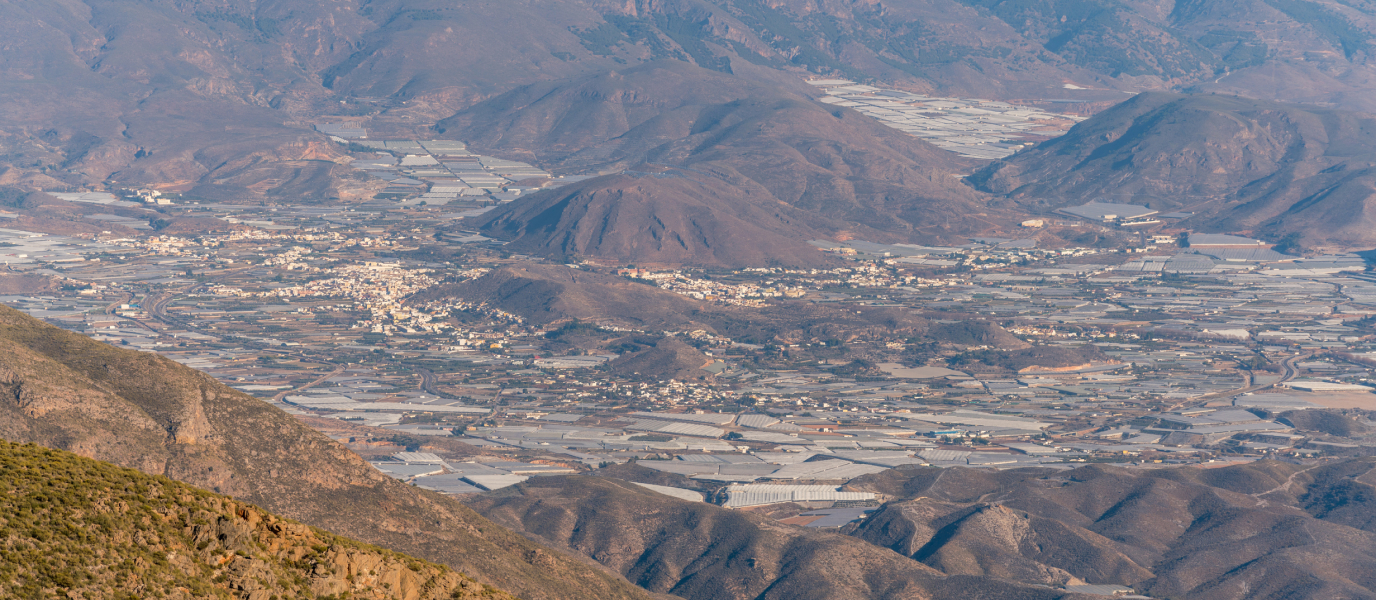 Qué ver en Berja, la ciudad de las fuentes