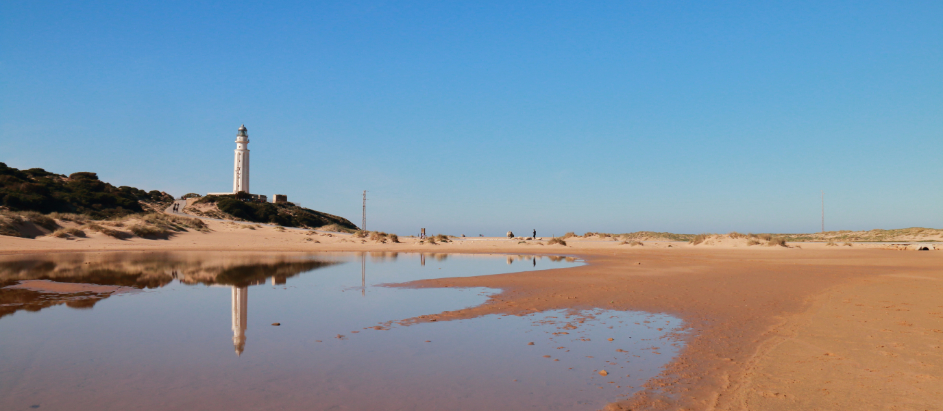 Cape Trafalgar: history, beauty and tourism