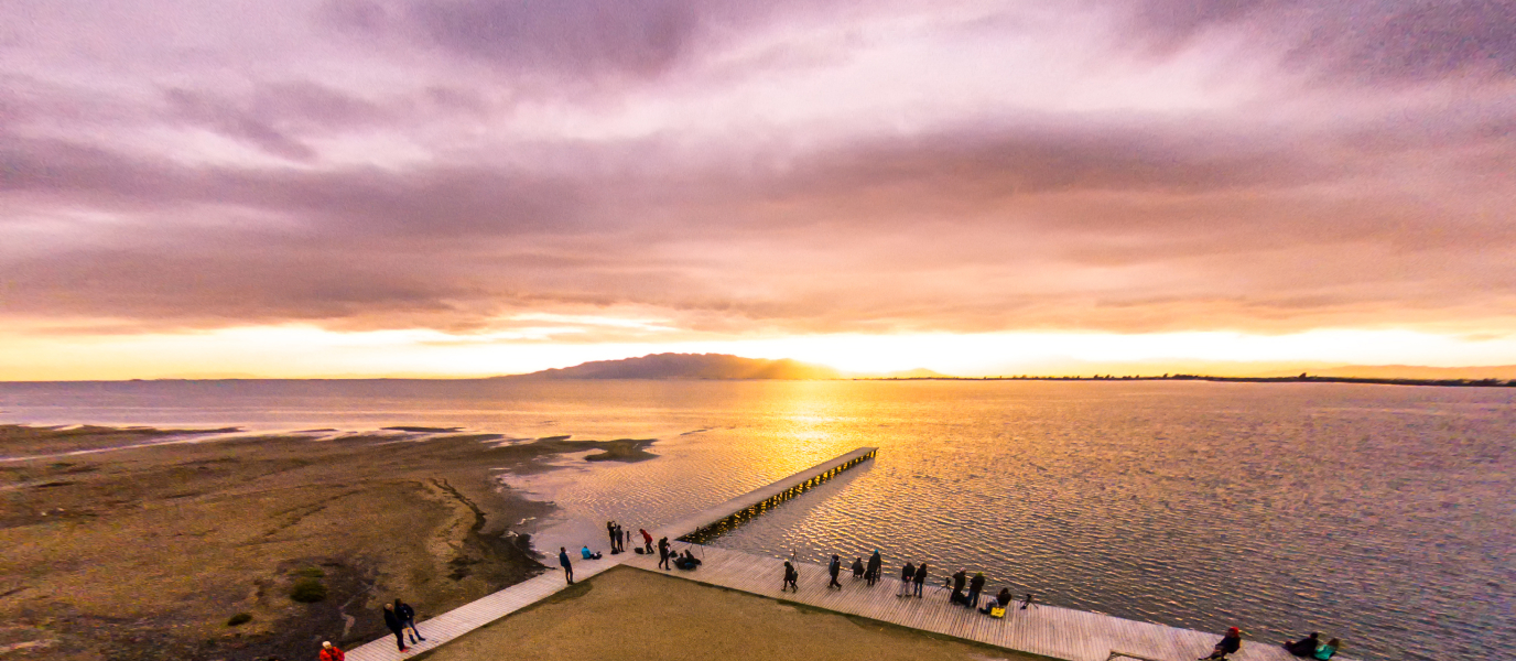 Delta del Ebro, el mayor humedal del Mediterráneo