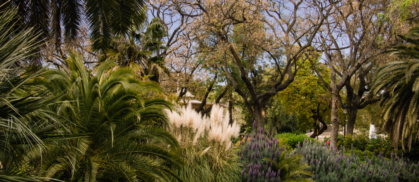 Jardín Botánico de Barcelona, frondosa vegetación mediterránea